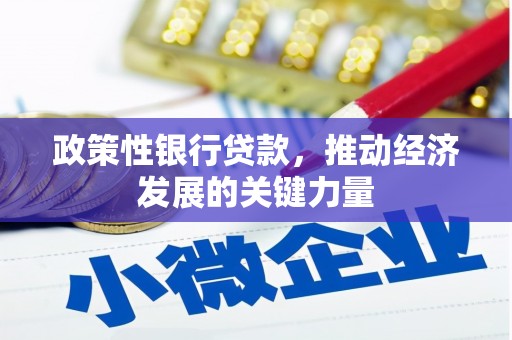 广宗政策性银行贷款，推动经济发展的关键力量
