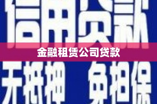 东西湖金融租赁公司贷款