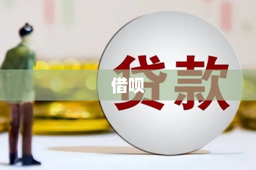 苍梧借呗