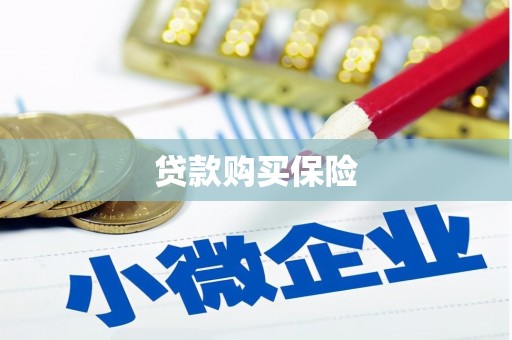 大东贷款购买保险