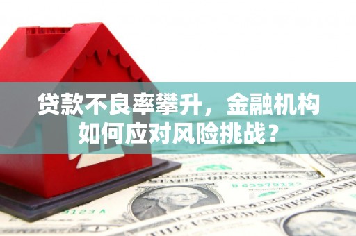车城贷款不良率攀升，金融机构如何应对风险挑战？