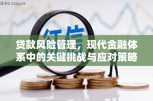 潼关贷款风险管理，现代金融体系中的关键挑战与应对策略
