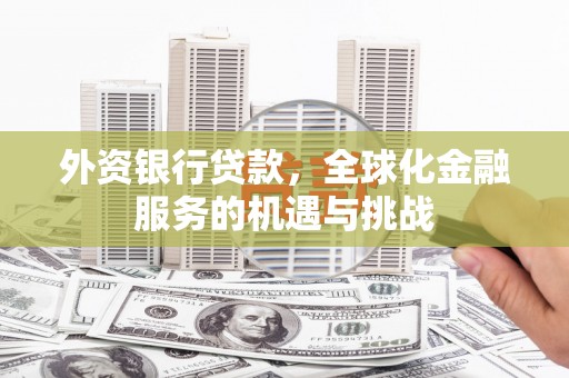 甲仙外资银行贷款，全球化金融服务的机遇与挑战