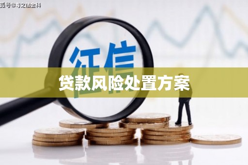 六枝贷款风险处置方案