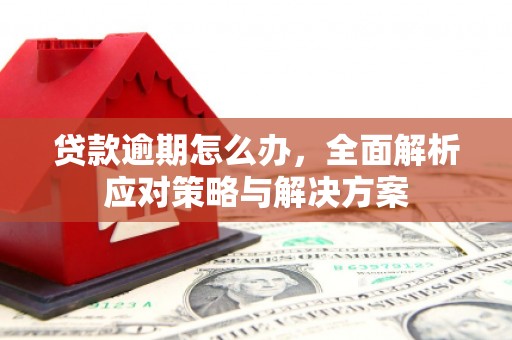 南陵贷款逾期怎么办，全面解析应对策略与解决方案