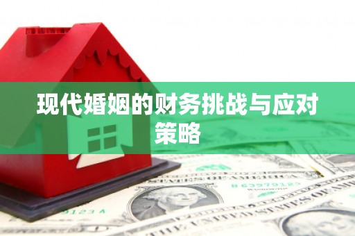 修文现代婚姻的财务挑战与应对策略