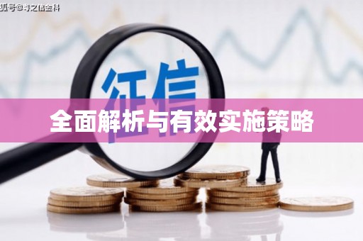 荔波全面解析与有效实施策略