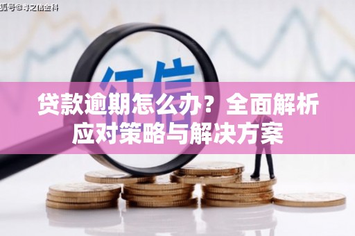固镇贷款逾期怎么办？全面解析应对策略与解决方案