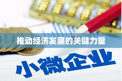 抚远推动经济发展的关键力量