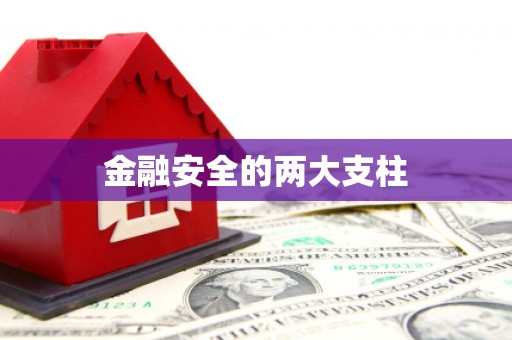 南湖金融安全的两大支柱