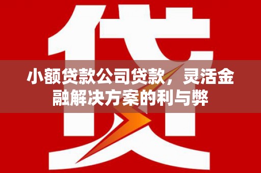 阜城小额贷款公司贷款，灵活金融解决方案的利与弊